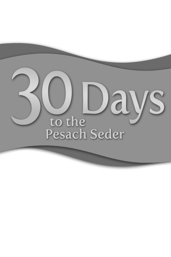 30 Days to the Pesach Seder - Available for Free Download 1