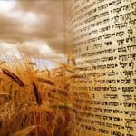 Shavuos During Covid-19 – What’s with the Morning Brachos?
