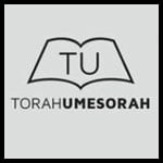 The Torah Umesorah Virtual Convention: Gain Insight TODAY (free) on these Topics!
