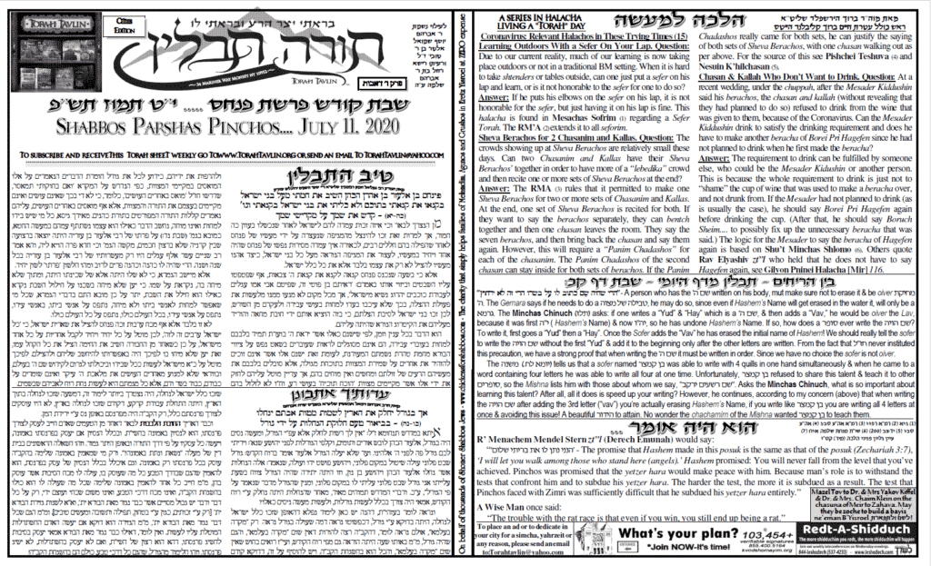 Torah Tavlin: Parshas Pinchas 1
