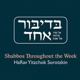 Is one Shabbos in every seven days enough?