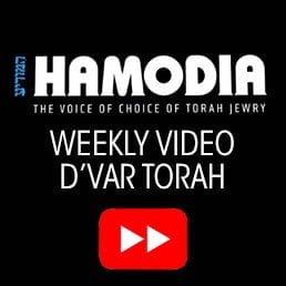 NEW: Weekly Hamodia Video D’var Torah