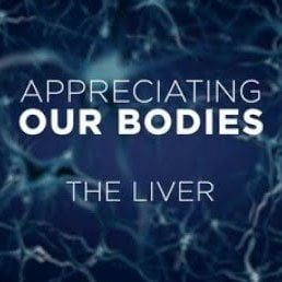Appreciating Our Bodies – The Liver
