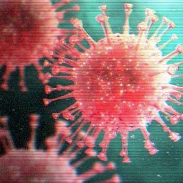Mild To Severe: Immune System Holds Clues To Virus Reaction
