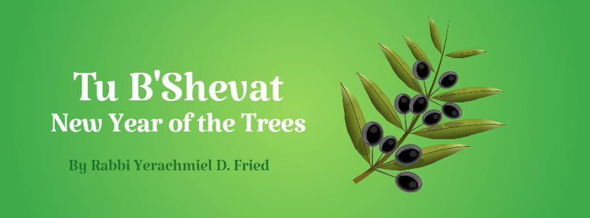 Ask the Rabbi: Tu B’Shevat by Rabbi Yerachmiel D. Fried 1