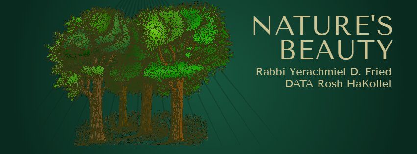 Ask the Rabbi: Nature’s Beauty 1