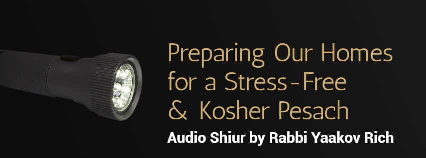 LISTEN: Preparing Our Homes for a Stress-Free & Kosher Pesach. 1