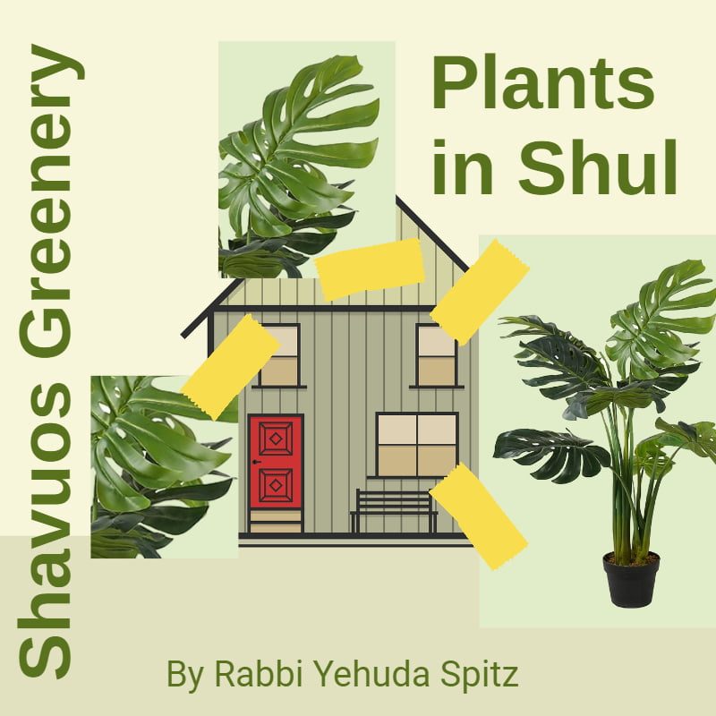 Adorning the Shul with Greenery on Shavuos: Part I 1