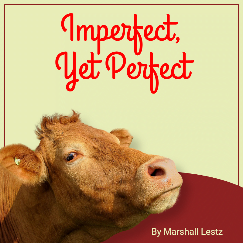 Imperfect, Yet Perfect 1