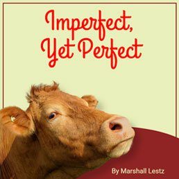 Imperfect, Yet Perfect