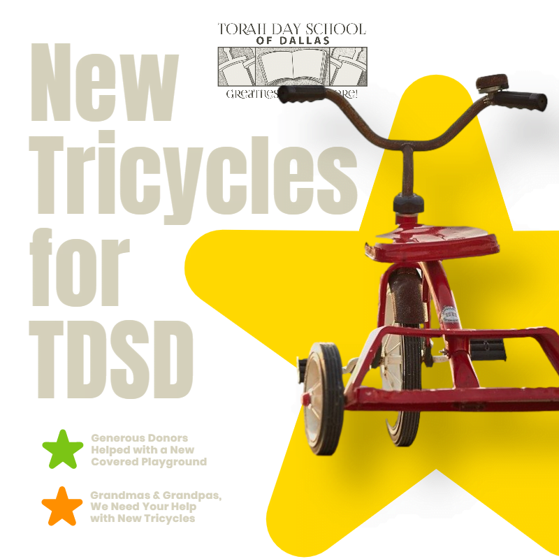 New Tricycles for TDSD 1