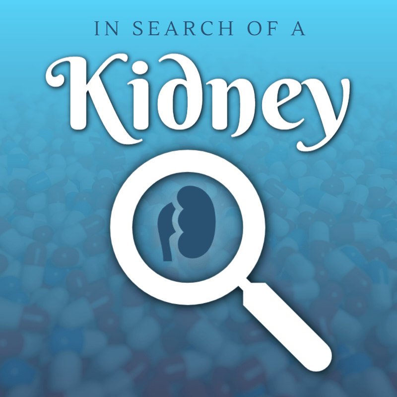 In Search of a Kidney: By Melanie Nirken Kaplan