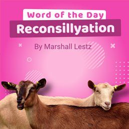 Rebuilder Series: Word of the Day – Reconsillyation. By Marshall Lestz