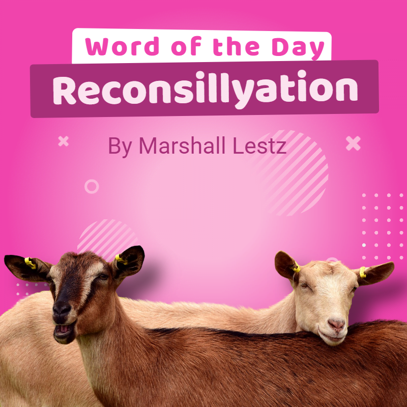 Rebuilder Series: Word of the Day - Reconsillyation. By Marshall Lestz
