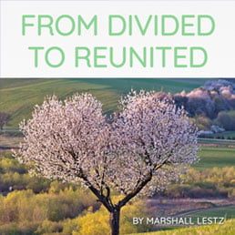 Rebuilder Series: From Divided To Reunited. By Marshall Lestz