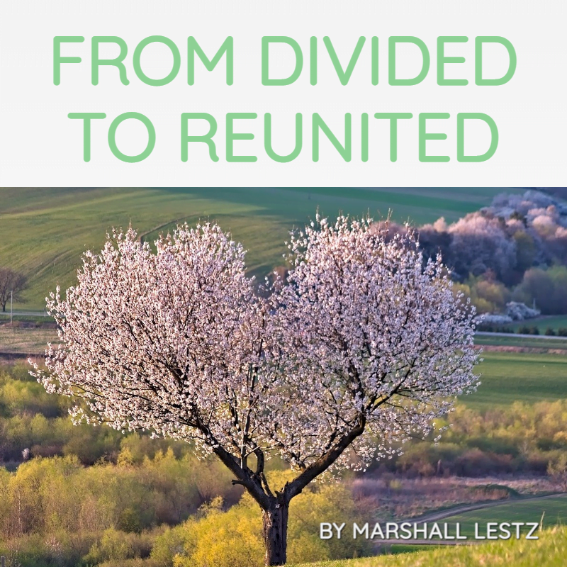 Rebuilder Series: From Divided To Reunited. By Marshall Lestz