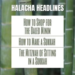 Halacha Headlines: Sukkos I – How to Shop for the Daled Minim – How to Make a Sukkah – The Mitzvah of Sitting in a Sukkah