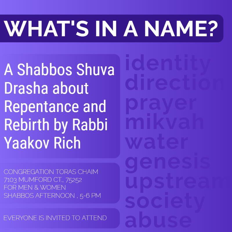 What's In A Name: Shabbos Shuva Drasha