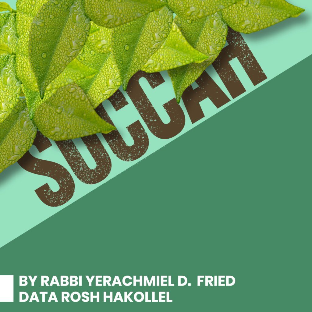 Ask the Rabbi: Succah. By Rabbi Yerachmiel D. Fried