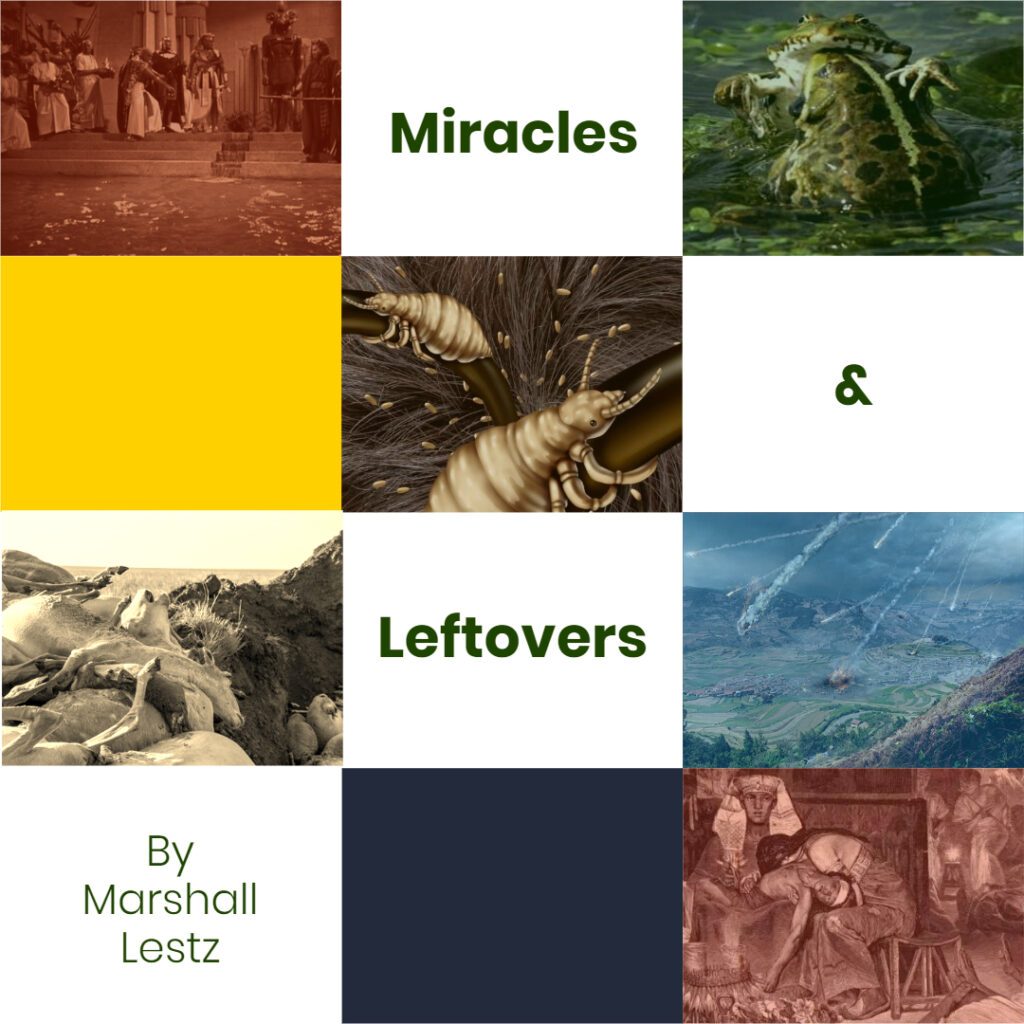 Rebuilding Series: Miracles and Leftovers. By Marshall Lestz
