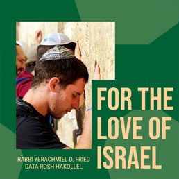 For the Love of Israel. By Rabbi Yerachmiel D. Fried
