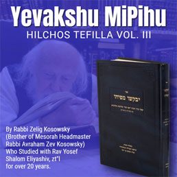 By Rabbi Zelig Kosowsky (Brother of Mesorah Headmaster Rabbi Avraham Zev Kosowsky) Who Studied with Rav Yosef Shalom Eliyashiv, zt”l for Over 20 Years.