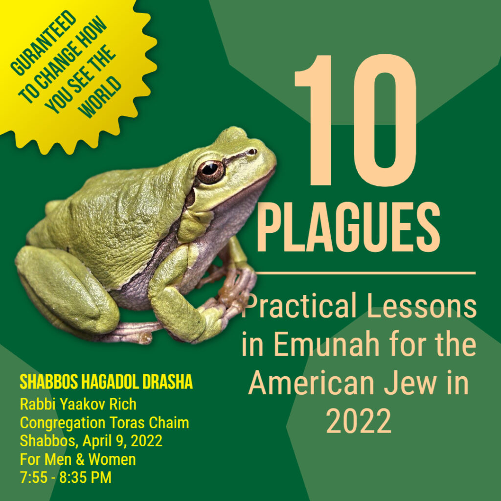 10 Plagues: Practical Lessons in Emunah for the American Jew in 2022