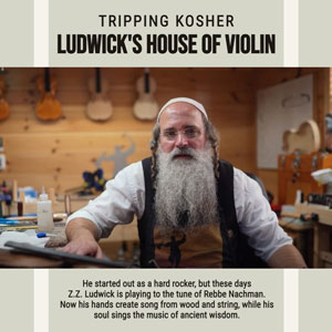 TRIPPING KOSHER: Ludwick’s House of Violin