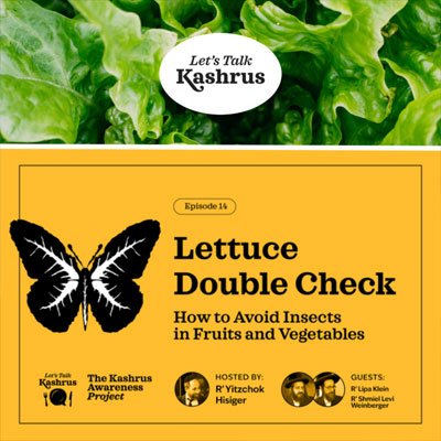 Watch: Lettuce Double Check