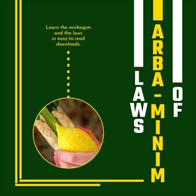 Laws and Minhagim of Arba Minim