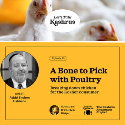 Watch: Let’s Talk Kashrus: A Bone to Pick with Poultry