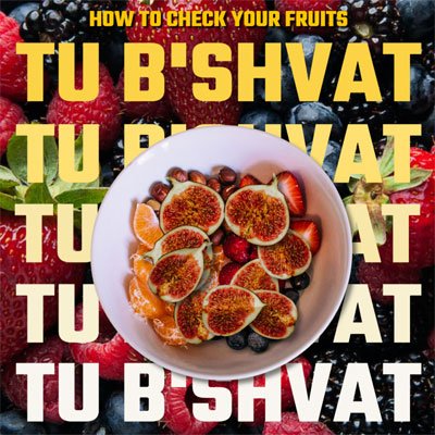 Checking Fruits for Tu B’Shvat