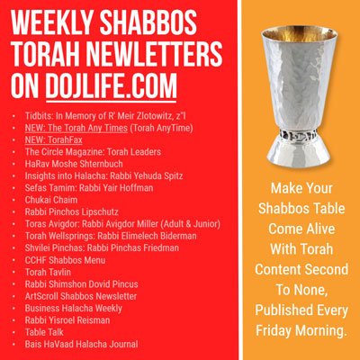 Torah Downloads: Shabbos Bamidbar 5783