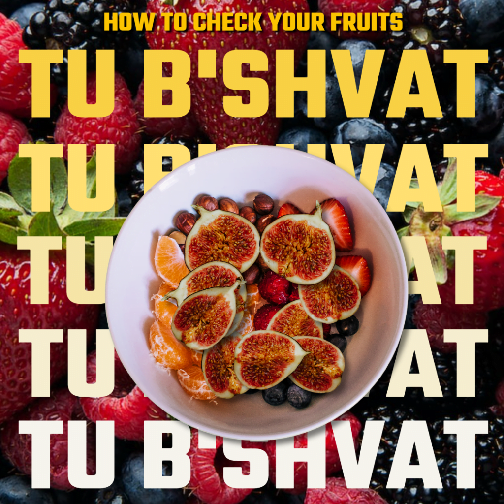 Checking Fruits for Tu B'Shvat
