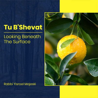 Rabbi Yisroel Majeski: Tu B’Shevat: Looking Beneath The Surface