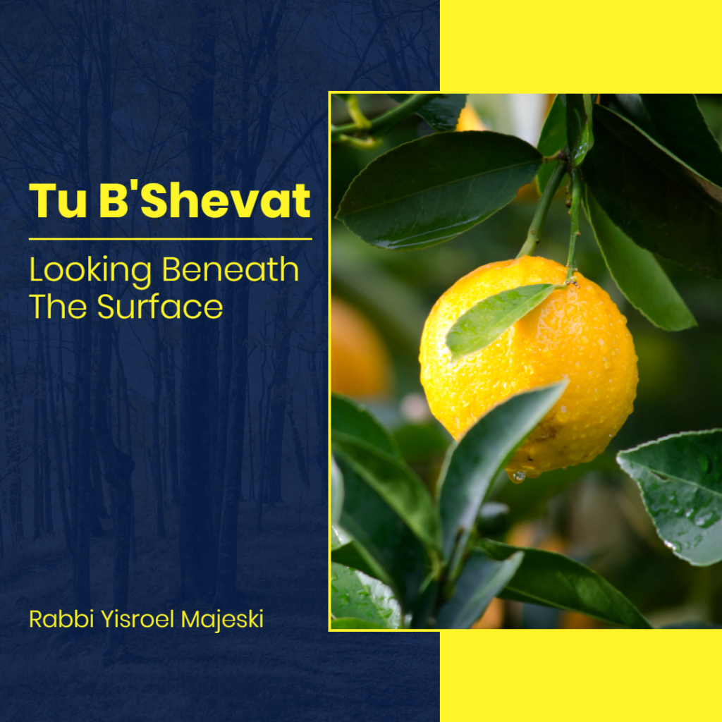 Rabbi Yisroel Majeski: Tu B'Shevat: Looking Beneath The Surface