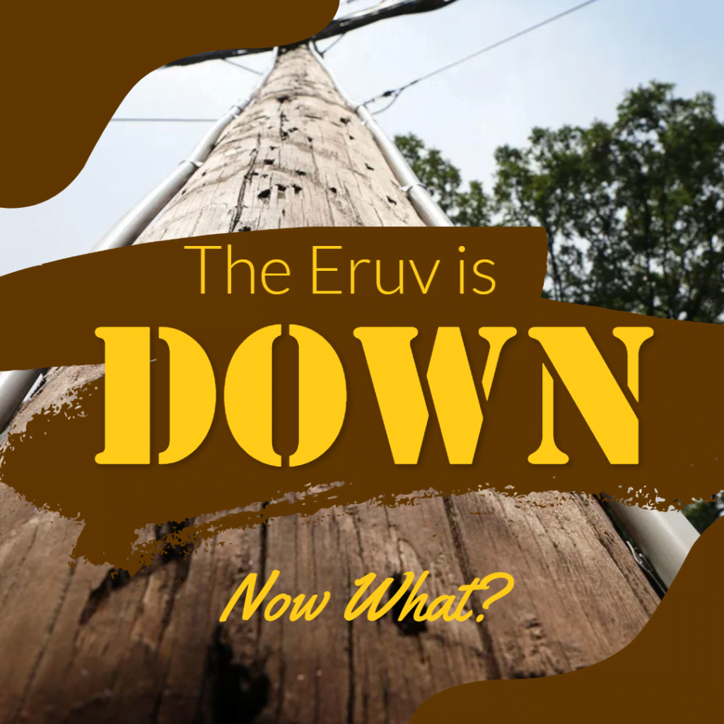 The Eruv is Down! Now What?