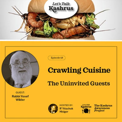 Crawling Cuisine: The Uninvited Guests – Let’s Talk Kashrus