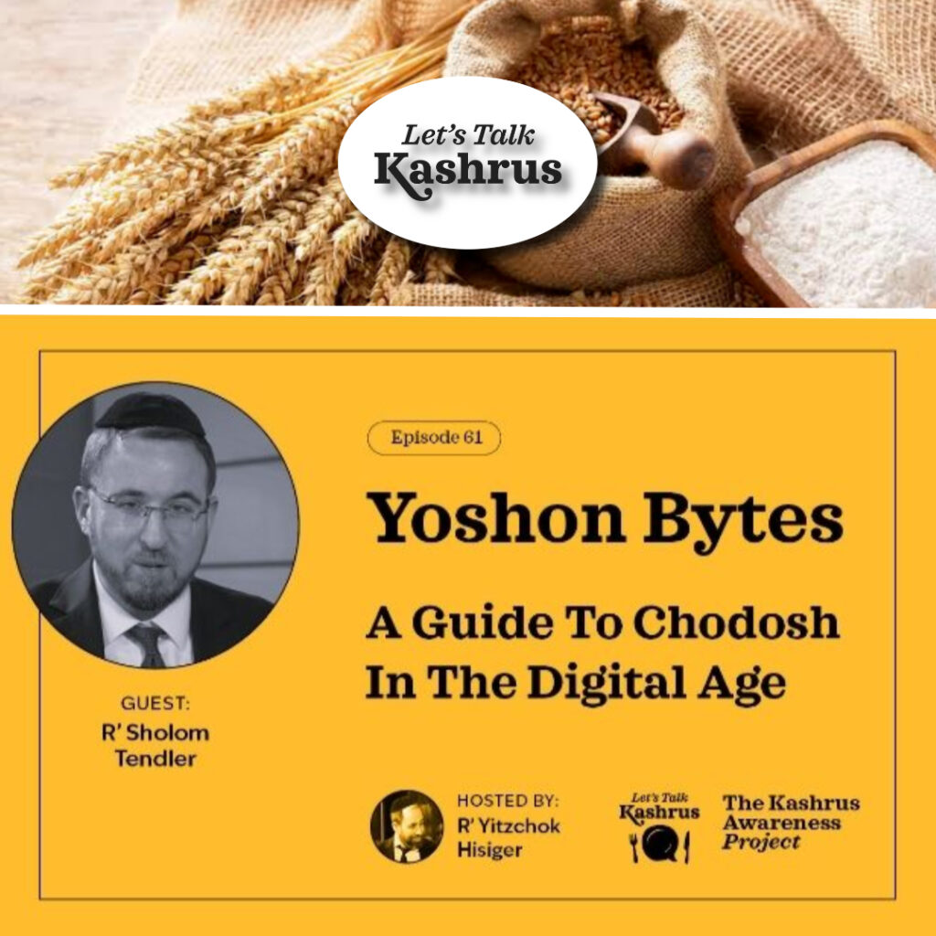 Yoshon Bytes: A Guide to Chodosh in the Digital Age - Let's Talk Kashrus