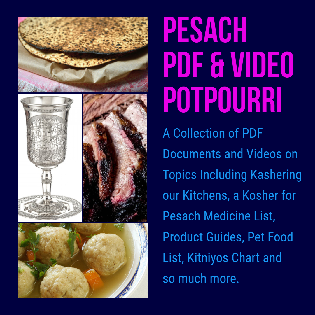 2024 Pesach PDF & Video Potpourri